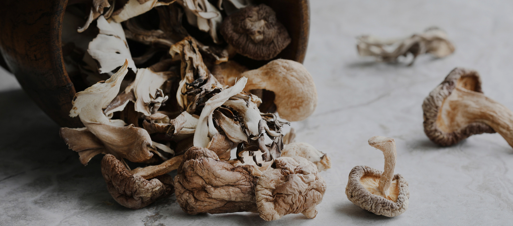 Dried Organic Mushrooms