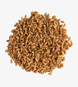Wheatgrass Sprouting Seed