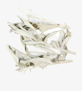 Organic Cultivated White Sage